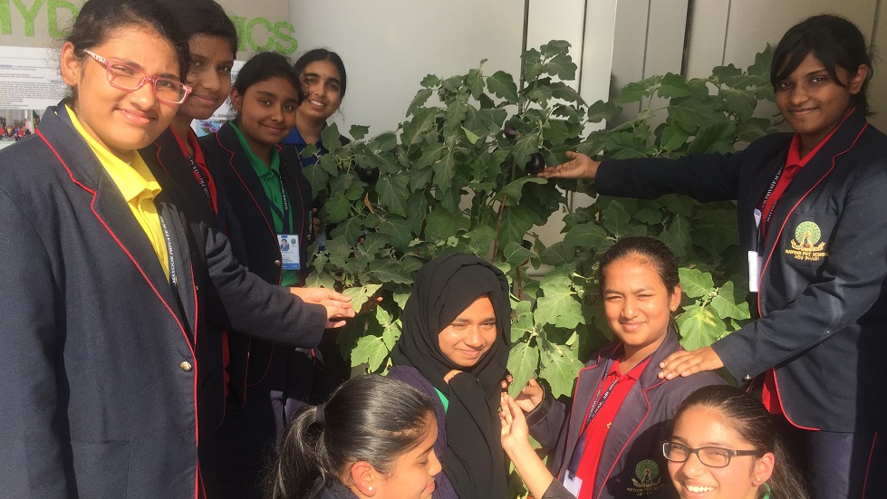 Eco_Chmapions_I_Mayoor_School_Abu_Dhbai_I_Hydroponics_(1)